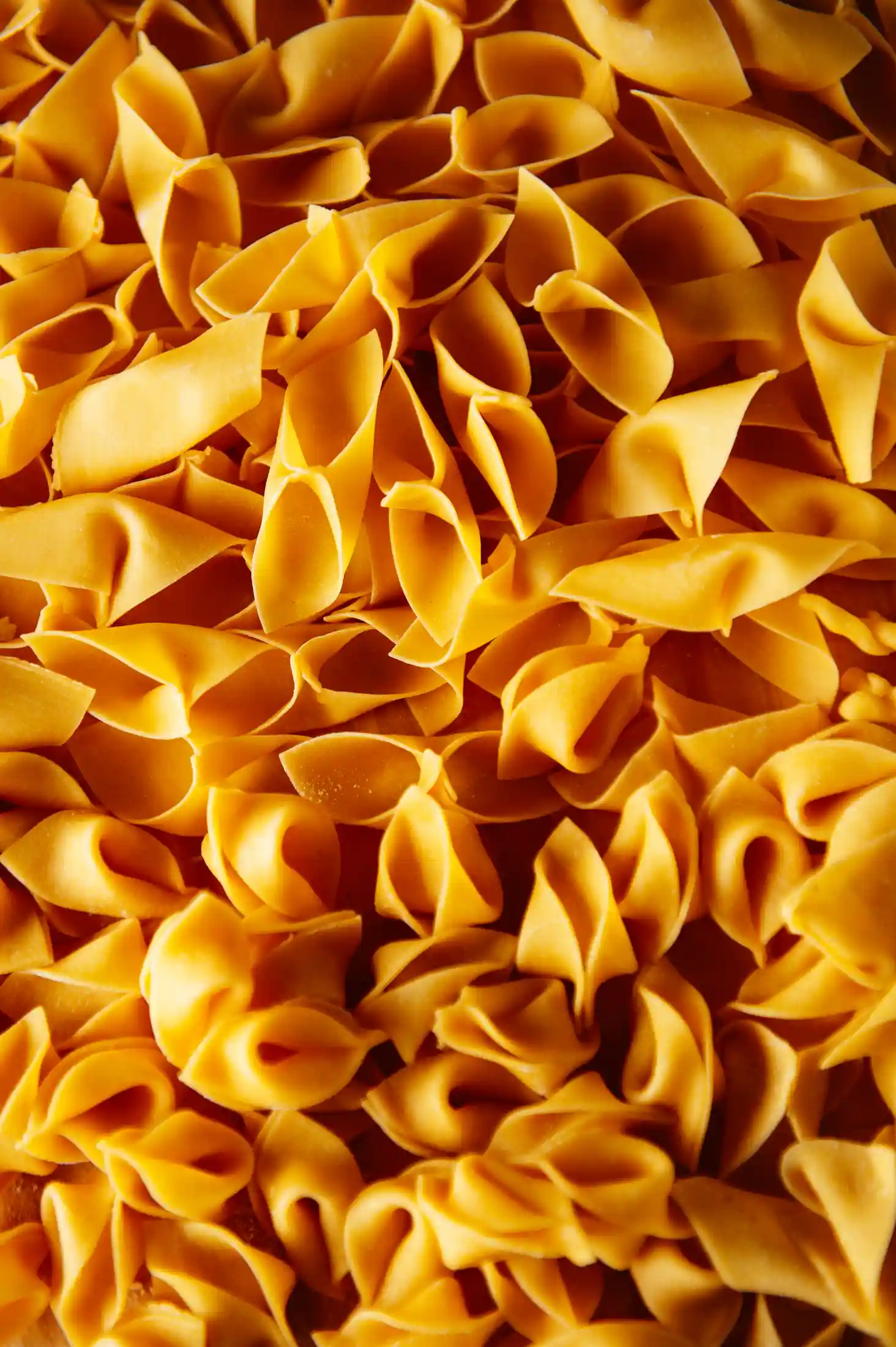 Cappellacci